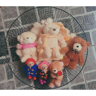 Set Gấu bông teddy đẹp rẻ chất lượng