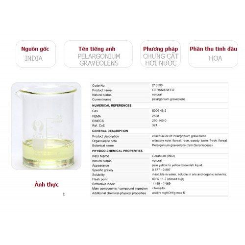 Tinh dầu phong lữ plus 20ml – Geranium EO nguyên chất thiên nhiên Ấn Độ – Quyến rũ, thanh lịch | BigBuy360 - bigbuy360.vn