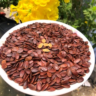 Hạt dưa Tứ Hưng sạch loại 1 hũ 500g