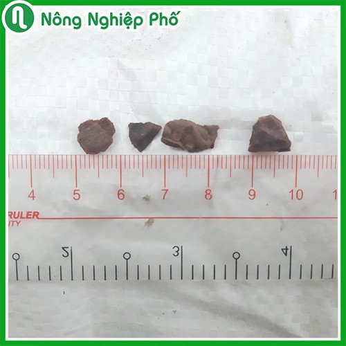 Vỏ thông xay nhuyễn đã qua xử lý kích thước 0.5-1.5cm  - Túi 1kg