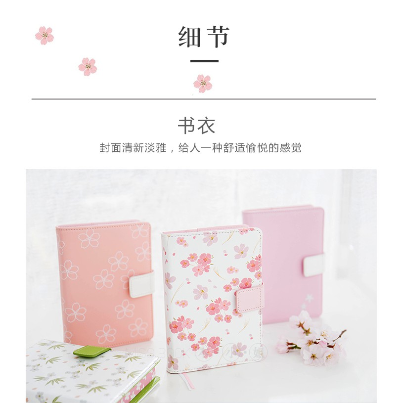 Set Sổ + Washi