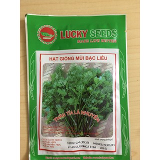 Hạt giống rau mùi tía - ngò tía (20 gam)