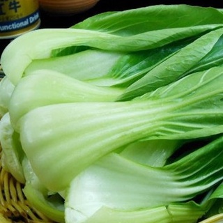 Hạt Giống Cải Chíp