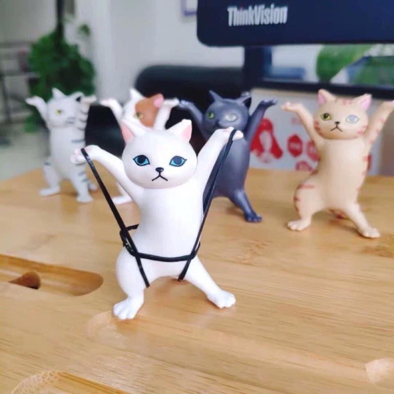 SET 5 MÈO TẶNG QUAN TÀI | BigBuy360 - bigbuy360.vn