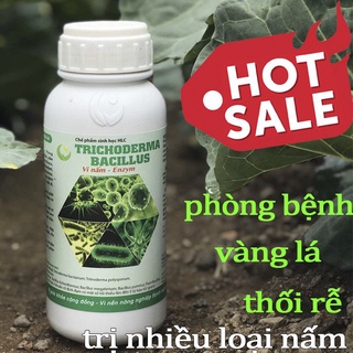 Chế phẩm sinh học TRICHODERMA - BACILLUS HLC