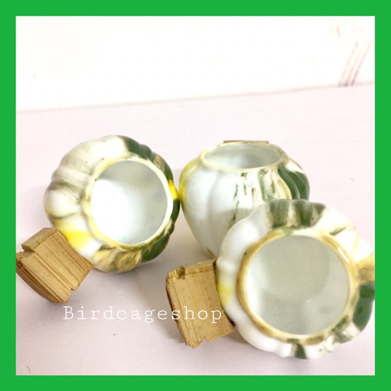 BỘ CÓNG SỨ CHÀO MÀO TAI TÀU HÀNG ĐẸP