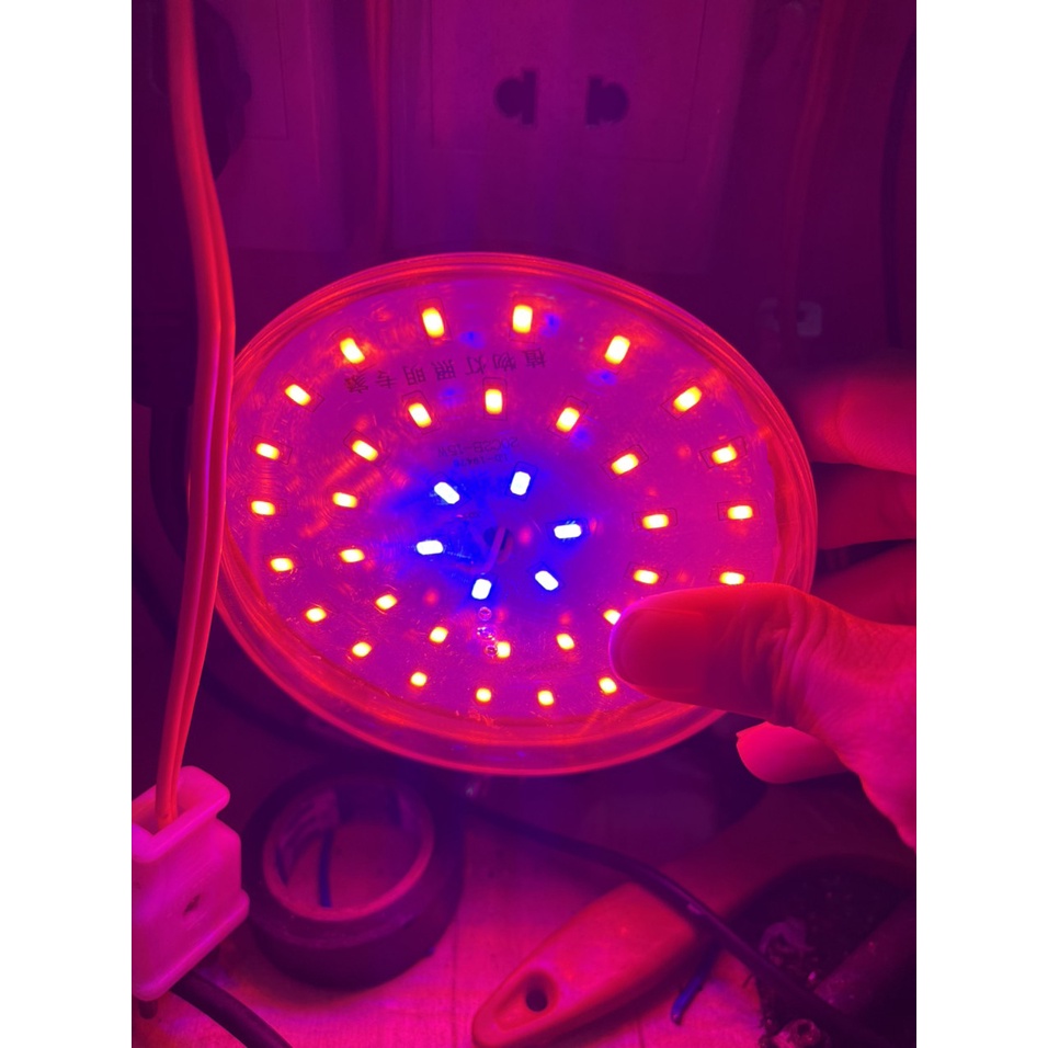Bóng led trồng cây 15w, bóng quang phổ quang hợp cho cây
