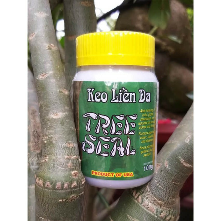 Keo liền sẹo dùng cho cây trồng Morrisons Tree Seal hàng USA lọ 100g