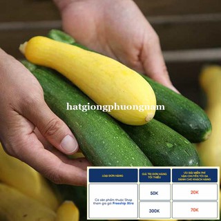 10H- HẠT GIỐNG BÍ NGÒI