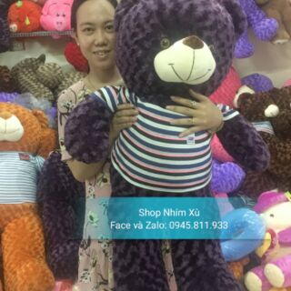 Gấu Teddy 1m2