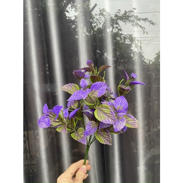 Cụm bạc hà nhiều màu sắc trang trí không gian tiệc, decor quán Cafe nhà hàng