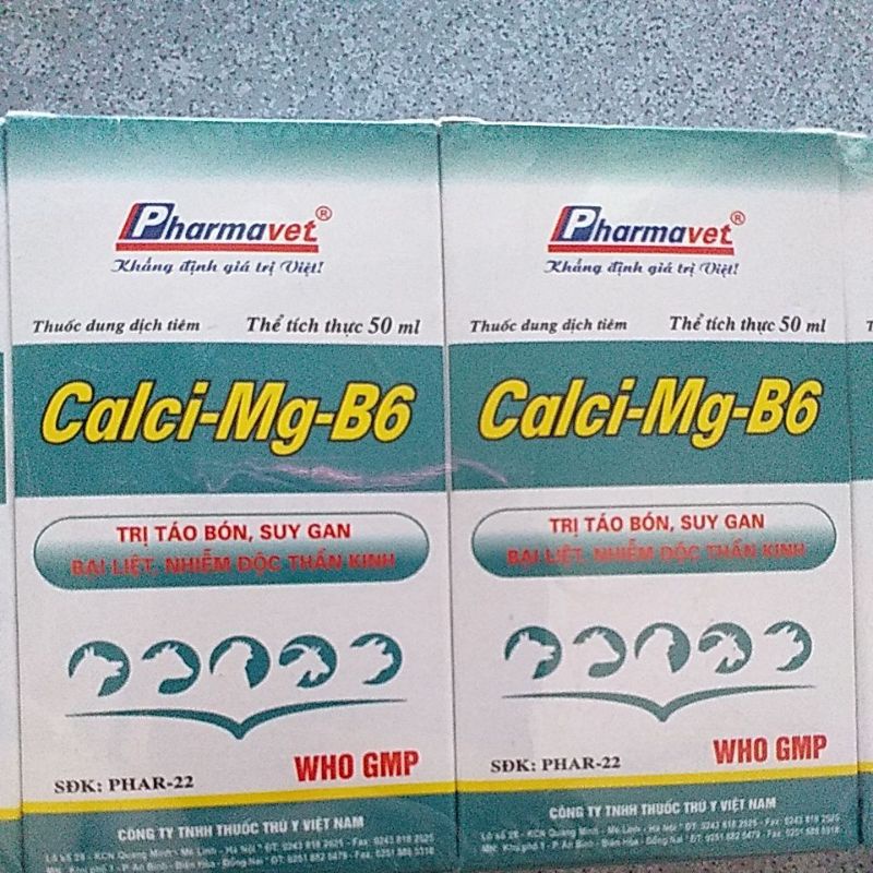 Calci mg b6 cho vật nuôi chửa cần canxi, phù đầu lợn bị th.ần k.inh , táo bón, bại liệt, chó mèo, gà chim for pet thú y