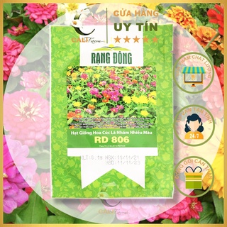 Hạt giống Hoa Cúc Lá Nhám Nhiều Màu RD 806 (1gr)