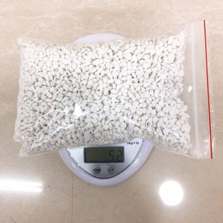 Đá perlite giá thể cho cây trồng sen đá, xương rồng và các loại cây khác