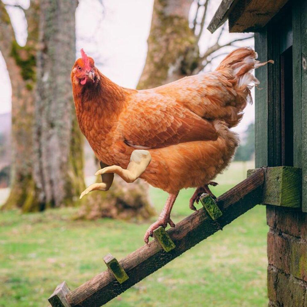 Cánh Tay Gà T-Rex Không Độc Hại Dùng Làm Đạo Cụ Trang Trí