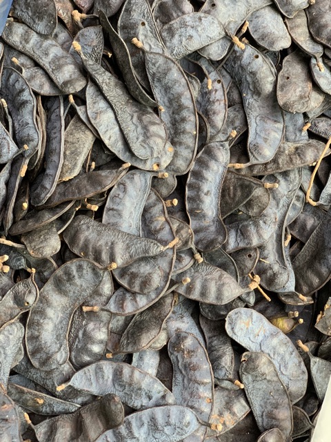 Dầu gội Thảo dược L'aturelle 500 ml - Sạch gàu, mượt tóc, detox da đầu, ngăn rụng tóc, kích thích mọc tóc