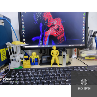 Đàn Mèo in 3D siêu dễ thương cute