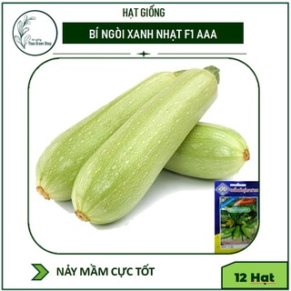 Hạt giống bí ngòi xanh nhạt F1 AAA