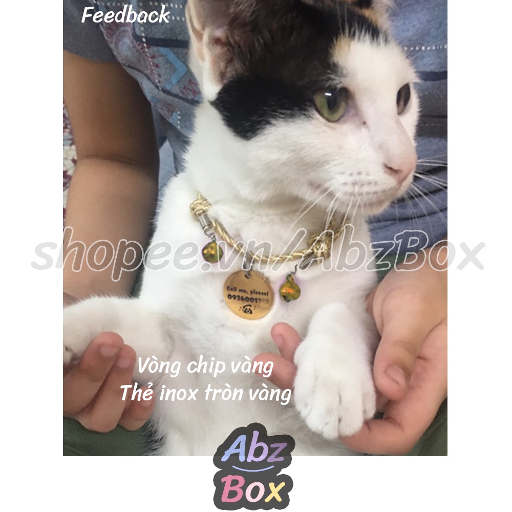 Vòng cổ cho mèo - Vòng cho Chó + Thẻ tên thú cưng - Bảng tên chó mèo Abz Box