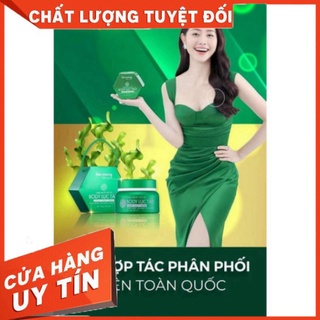 body luc tảo