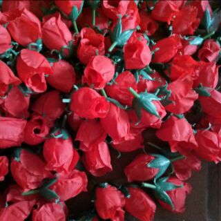 10 bông Hồng nụ đầu