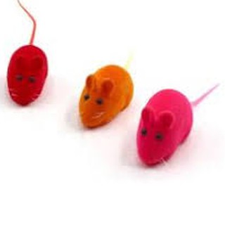 (FREESHIP99K) đồ chơi chó mèo chuột chip chip