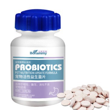 [RẺ VÔ ĐỊCH] hộp men tiêu hóa cho chó mèo probiotic 180 viên