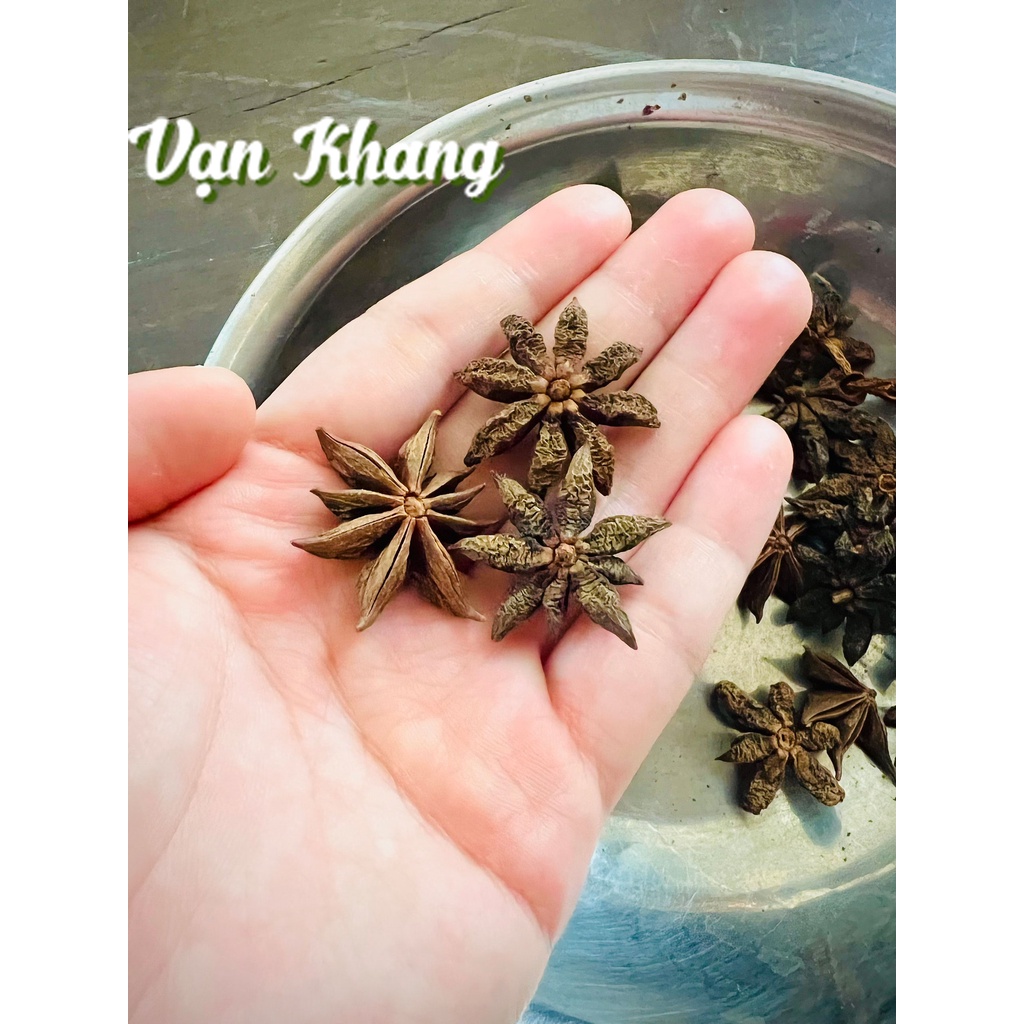 Đại Hồi 100gr - Gia vị nấu phở