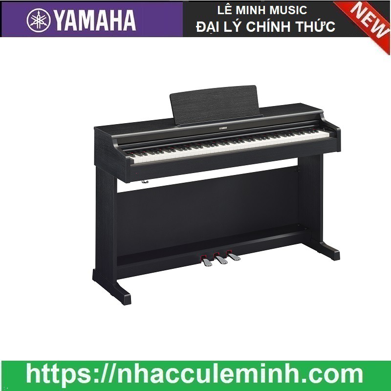 Đàn Piano Điện Yamaha YDP 164 kèm ghế