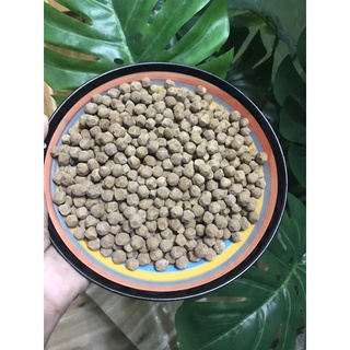 TRÂN CHÂU ĐEN THÁI LAN 1 KG