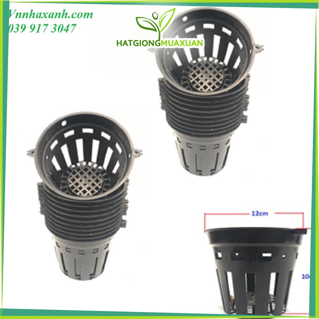 [SIEURE] combo 50 Chậu Nhựa Trồng Lan Phi 12, Đường Kính 12cm hàng đẹp, phân phối chuyên nghiệp.