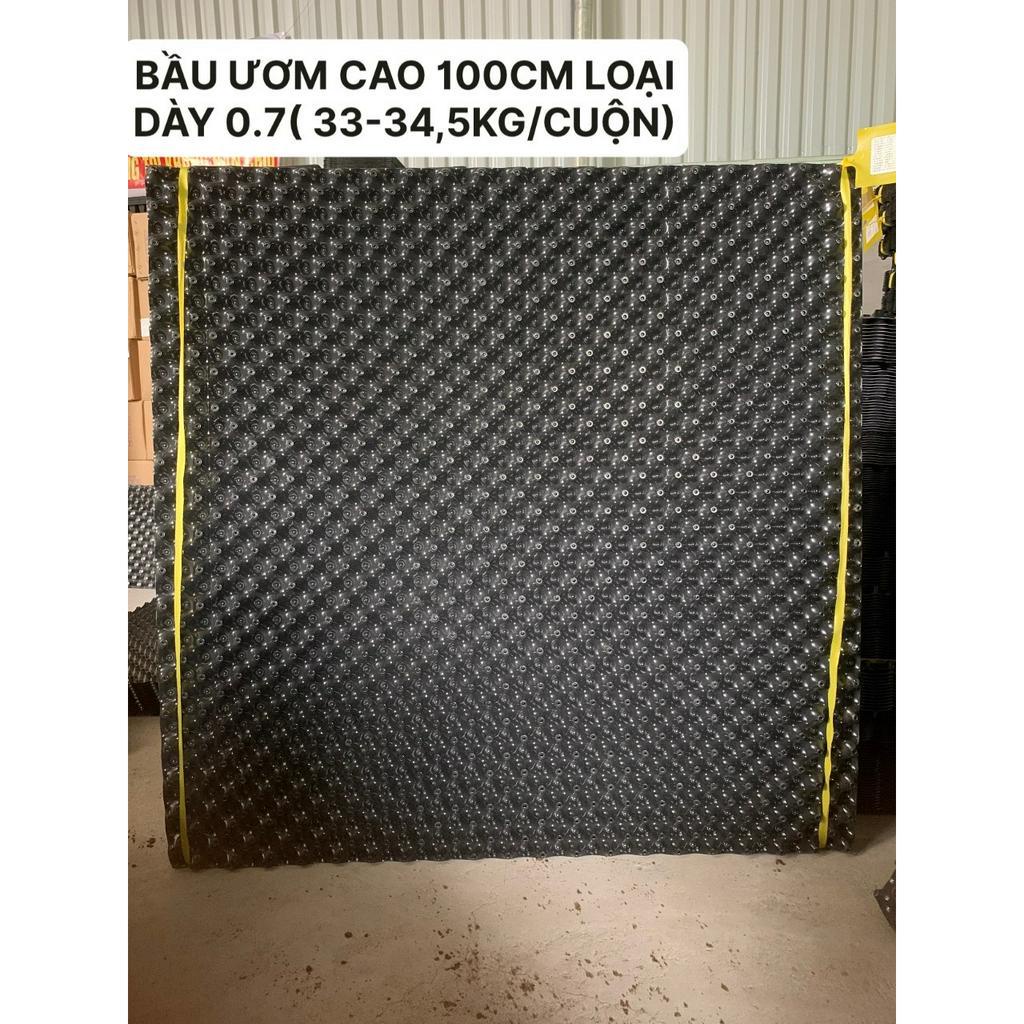 50M BẦU ƯƠM CAO 100CM ,DÀY 0.7, HÀNG LOẠI 1( 33-34.5KG/CUỘN)