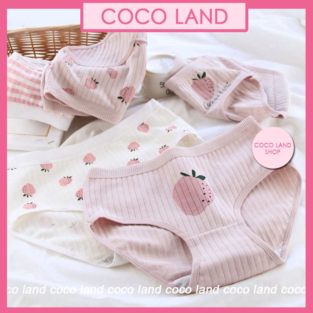 Quần Lót Cotton Co Dãn 4 Chiều Quả Dâu CuTe ( Chọn Màu ) giá rẻ tốt