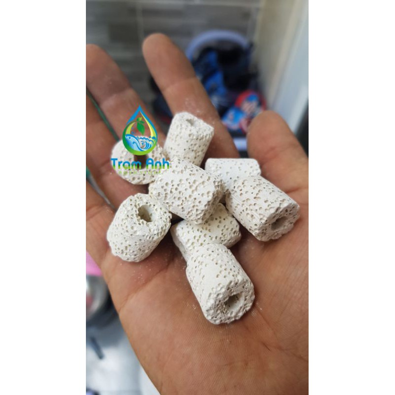 100G - Sứ nhẫn lọc bể cá - vật liệu lọc hồ cá - bể thuỷ sinh