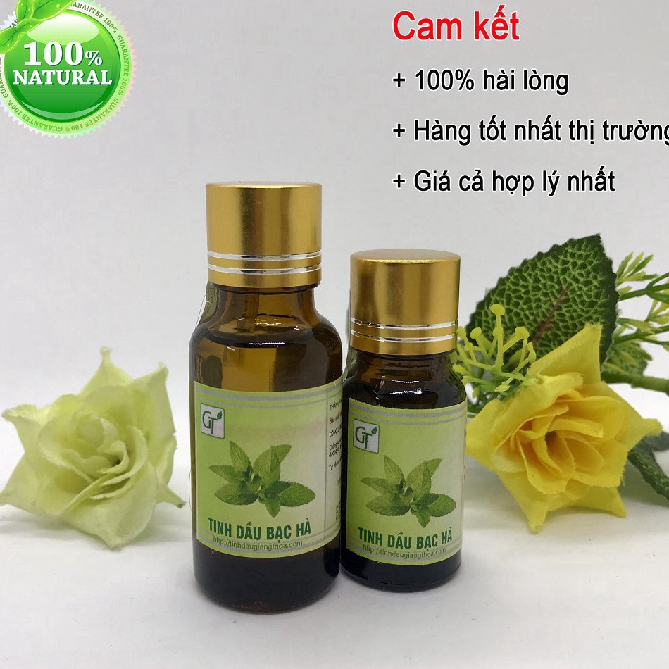 Tinh Dầu Bạc Hà Nguyên Chất 100ml - Tinh Dầu Đuổi Chuột Bạc Hà, Xông Phòng, Treo Xe - Hàng Cao Cấp