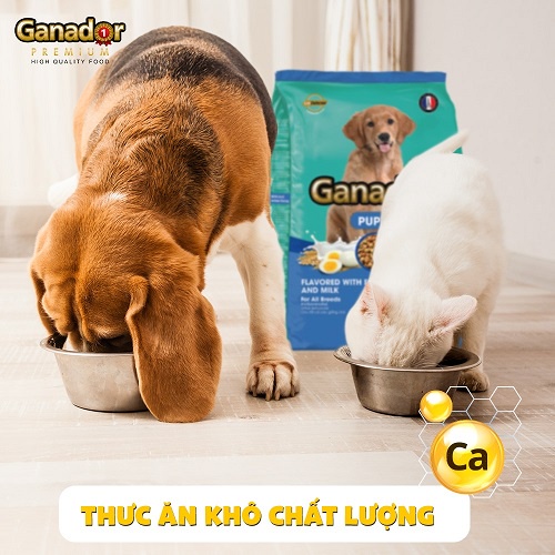 [CHÍNH HÃNG] THỨC ĂN GANADOR PUPPY VỊ TRỨNG &amp; SỮA CHO CHÓ CON - GÓI 400G