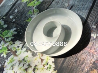 Đĩa xoắn hình hoa