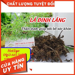 Lá Đinh Lăng Khô 100g - Thảo Dược Uy Tín