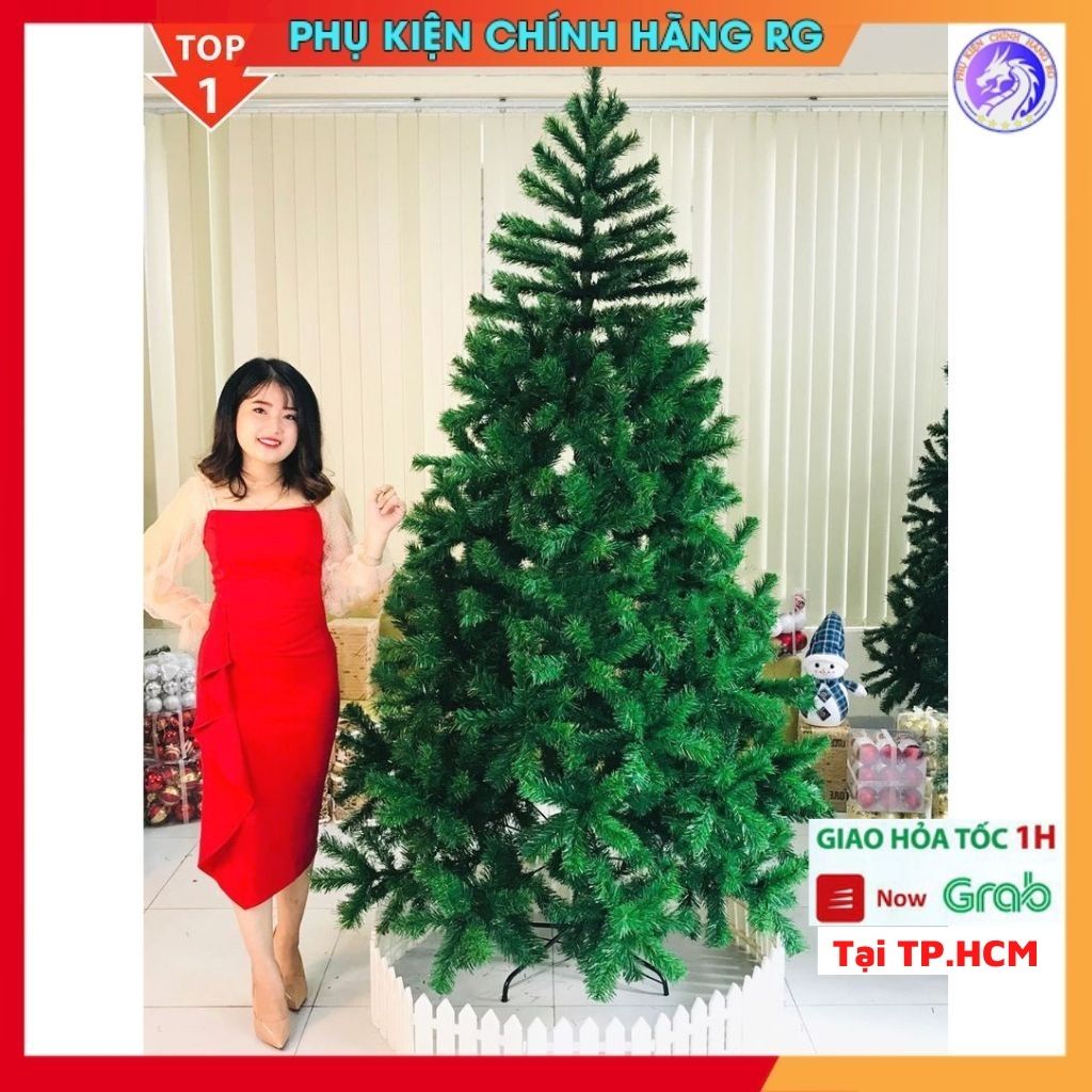 Cây Thông Noel 2m4 Tán Rộng Lá Dày Trang Trí Giáng Sinh Tặng 1 Ngôi Sao Đỉnh và 6 Dây Kim Tuyến