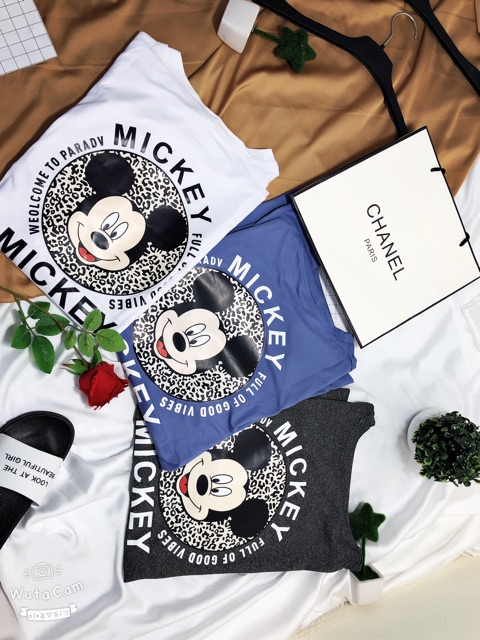 [70] [HÌNH THẬT]áo thun nữ ⚜️FREESHIP⚜️ Thun Nữ Hàng Unisex Phông Nữ Quảng Châu [Thun Nu] | BigBuy360 - bigbuy360.vn