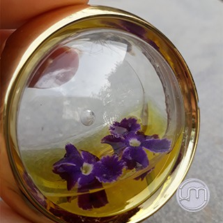 5*5*2.4cm- Hộp nhựa tròn đựng saffron 1g