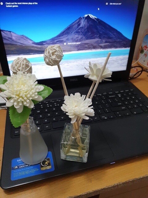 TINH DẦU thơm ngát, để bàn làm việc, phòng tắm, cửa hàng | Thế Giới Skin Care