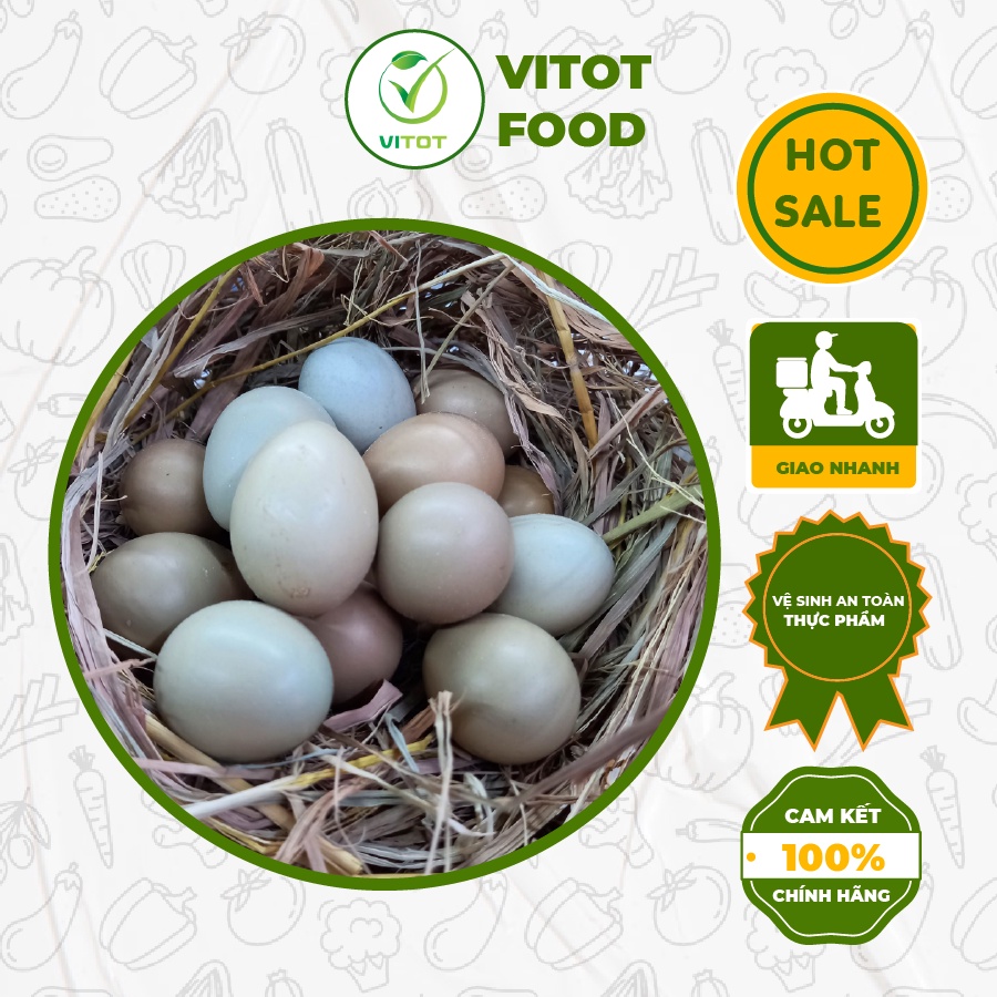 Trứng Chim Trĩ VITOT - Rất Tốt Cho Sức Khỏe Đóng 10 Quả 1 Hộp