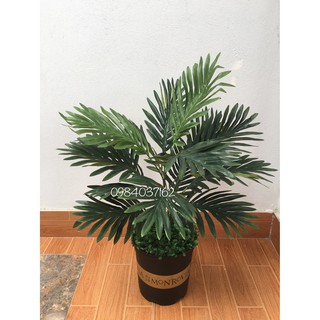 Cây giả Decor- Cây dừa giả trang trí Nhà Cửa