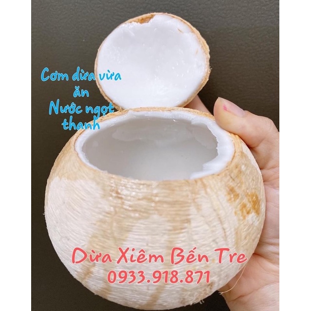 Dừa Xiêm Bến Tre Gọt Tiện Lợi