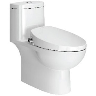 Nắp rửa điện tử American Standard SCCN00001-WT