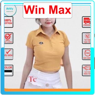 Áo thun polo tay ngắn, áo croptop ôm body thêu