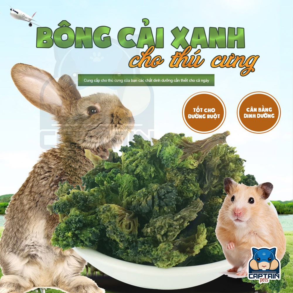 Bông cải xanh sấy khô cho thú nhỏ