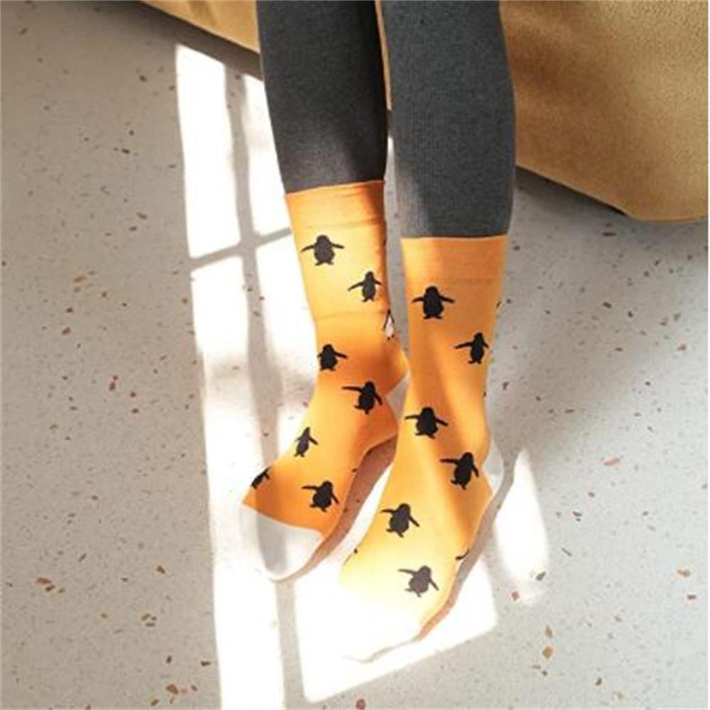 HS Tất VảI Cotton In HìNh GấU TrúC / Chim CáNh CụT