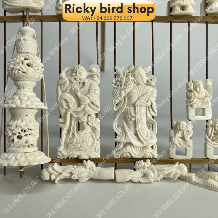 Bone set for Puteh bird cage - 8 Immortal design - Phụ kiện chim Ricky bird shop